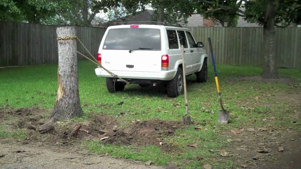 What Are Some DIY Stump Removal Methods Red Cedar Inc   Maxresdefault 1 1024x576 